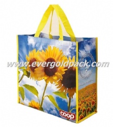 PP Non Woven Color Printed Laminated Shopping Bag