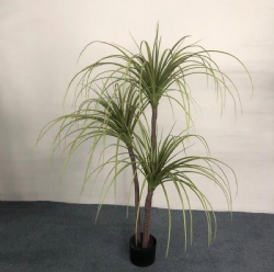 artificial tree/Dracaena/Dragon Tree